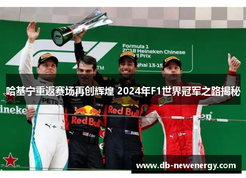 哈基宁重返赛场再创辉煌 2024年F1世界冠军之路揭秘