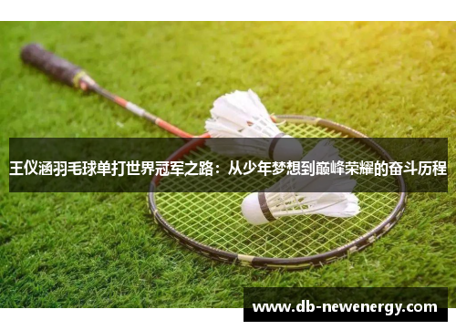 王仪涵羽毛球单打世界冠军之路：从少年梦想到巅峰荣耀的奋斗历程