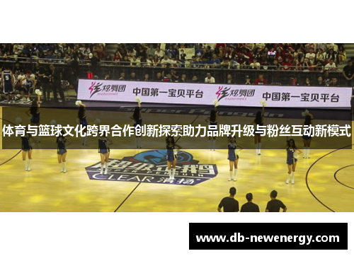 体育与篮球文化跨界合作创新探索助力品牌升级与粉丝互动新模式