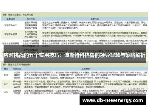 应对挑战的五个实用技巧：波斯特科格鲁的领导智慧与策略解析